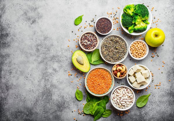 Les recettes de daniel : nutrition animale pour un bien-être optimal